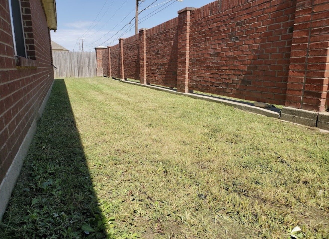 Side yard after mowing and cleanup